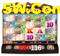 Sinta a adrenalina dos jogos de cassino com Bet116